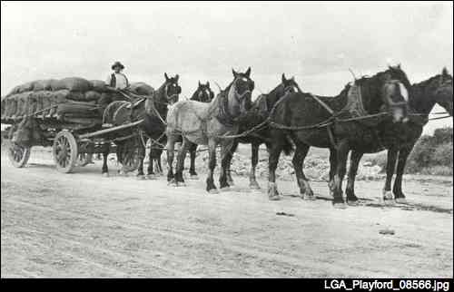 horsedrawn vehicles