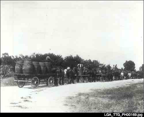 Lokan brothers with their teams carting wine