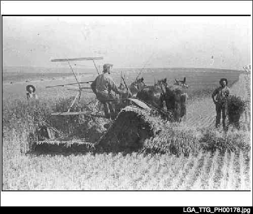 farm workers