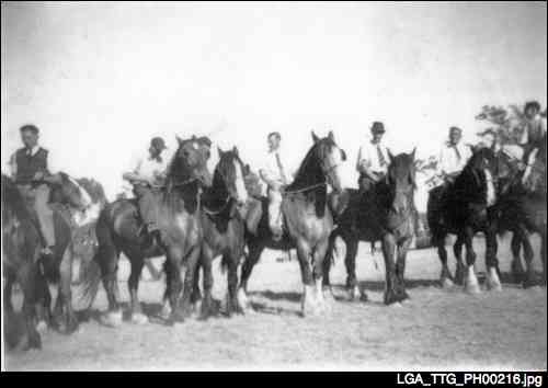 Draught horse race at Modbury Oval