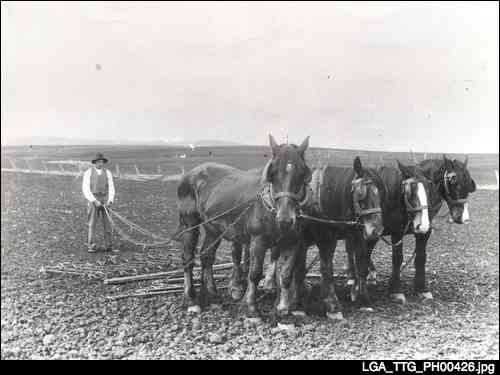 Arthur Tilley harrowing at Hillcott Farm, Golden Grove