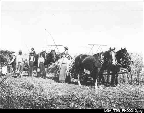 horsedrawn farm machines